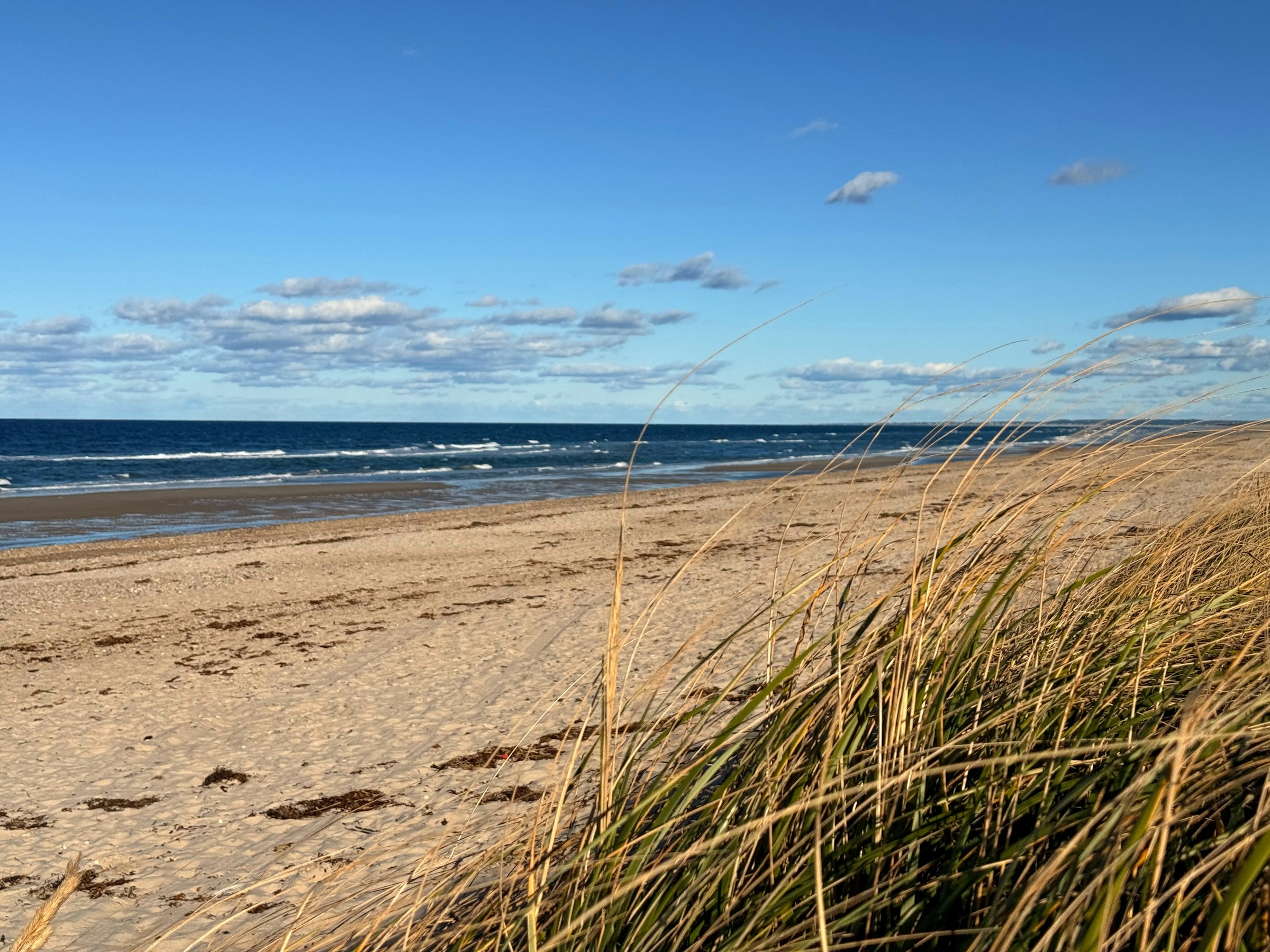 Peaceful day at the beach in Cape Cod. Photo by Brian Urso on Unsplash